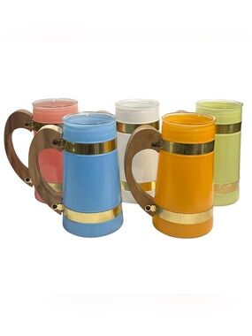 Vintage 1960s Siesta Ware Frosted Glass Beer Mugs Set with Wooden Handles (5)